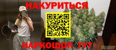 шишки Апшеронск