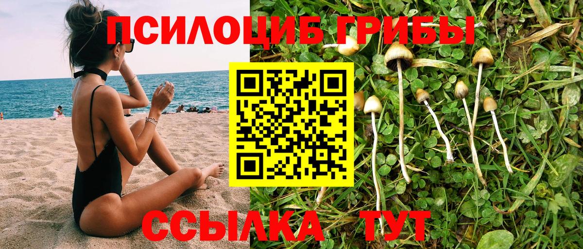 Всеволожск  Псилоцибиновые грибы ЛСД  Вход с VPN 