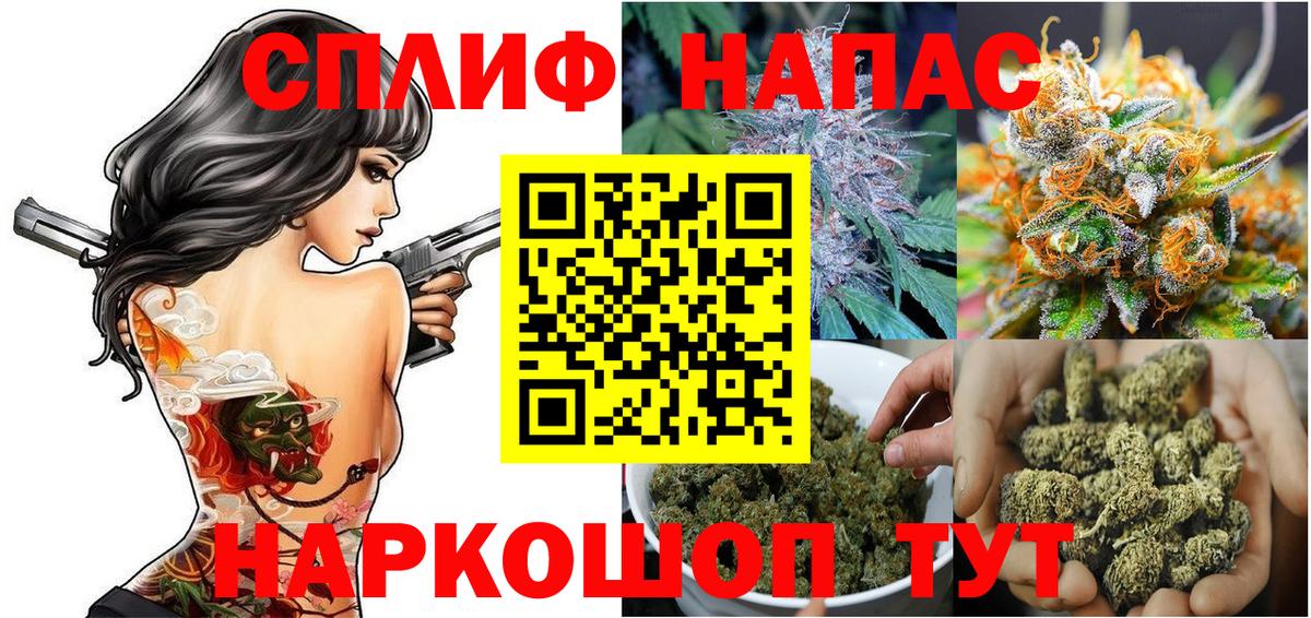 Канабис конопля Всеволожск